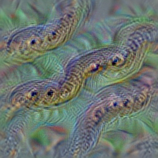 n01735189 garter snake, grass snake